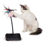 Cat is Good Chirping Tser-Cat-Boss Pet/PetEdge-PetPhenom