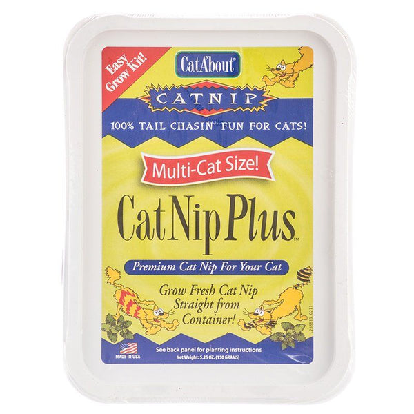 CatA'bout CatNip Plus Easy Grow Kit, 5.25 oz (250 mg) Catnip Seed-Cat-Gimborn-PetPhenom