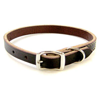 Circle T Latigo Leather Town Collar, 12" Long x 3/8" Wide-Dog-Circle T Leather-PetPhenom
