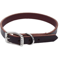 Circle T Latigo Leather Town Collar, 20" Long x 3/4" Wide-Dog-Circle T Leather-PetPhenom