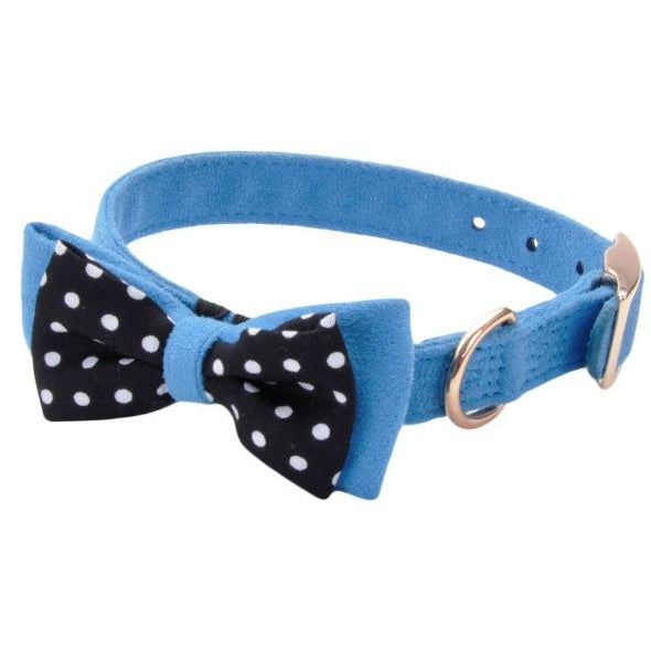Coastal Pet Accent Microfiber Dog Collar Boho Blue with Polka Dot Bow 5/8" Wide, Medium-Dog-Coastal Pet Products-PetPhenom