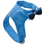 Coastal Pet Accent Microfiber Dog Harness Boho Blue with Polka Dot Bow, Medium-Dog-Coastal Pet Products-PetPhenom