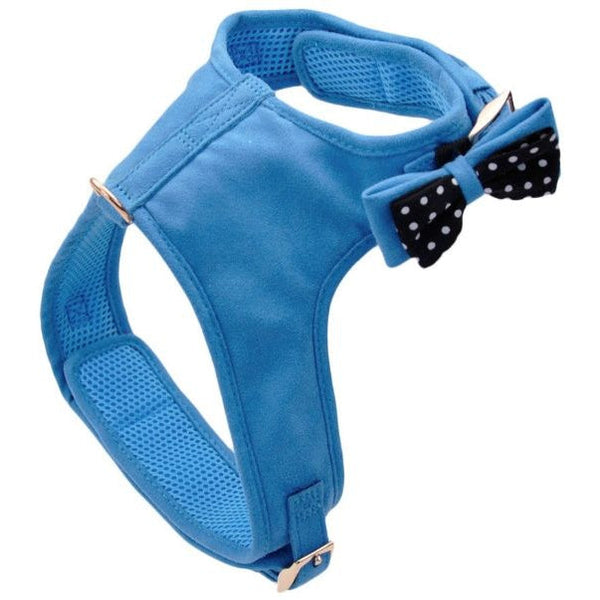 Coastal Pet Accent Microfiber Dog Harness Boho Blue with Polka Dot Bow, Medium-Dog-Coastal Pet Products-PetPhenom