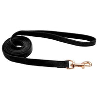 Coastal Pet Accent Microfiber Dog Leash Mod Black 6'L x 5/8"W, 1 count-Dog-Coastal Pet Products-PetPhenom