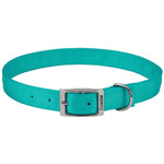 Coastal Pet Double-ply Nylon Dog Collar Teal, 20"L x 1"W-Dog-Coastal Pet Products-PetPhenom