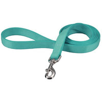 Coastal Pet Double-ply Nylon Dog Lead Teal, 72"L x 1"W-Dog-Coastal Pet Products-PetPhenom