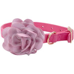 Coastal Pet Microfiber Dog Collar with Pink Accent Flower, 10-13"L x 5/8"W-Dog-Coastal Pet Products-PetPhenom