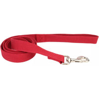 Coastal Pet New Earth Soy Dog Lead Cranberry Red, 6 feet x 1"W-Dog-Coastal Pet-PetPhenom