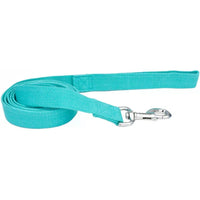 Coastal Pet New Earth Soy Dog Lead Mint Green, 6 feet x 1"W-Dog-Coastal Pet-PetPhenom