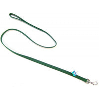 Coastal Pet Nylon Lead - Hunter Green, 4' Long x 5/8" Wide-Dog-Coastal Pet Products-PetPhenom