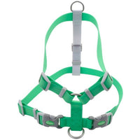 Coastal Pet Pro Waterproof Dog Harness 1" Wide Lime, Medium-Dog-Coastal Pet Products-PetPhenom