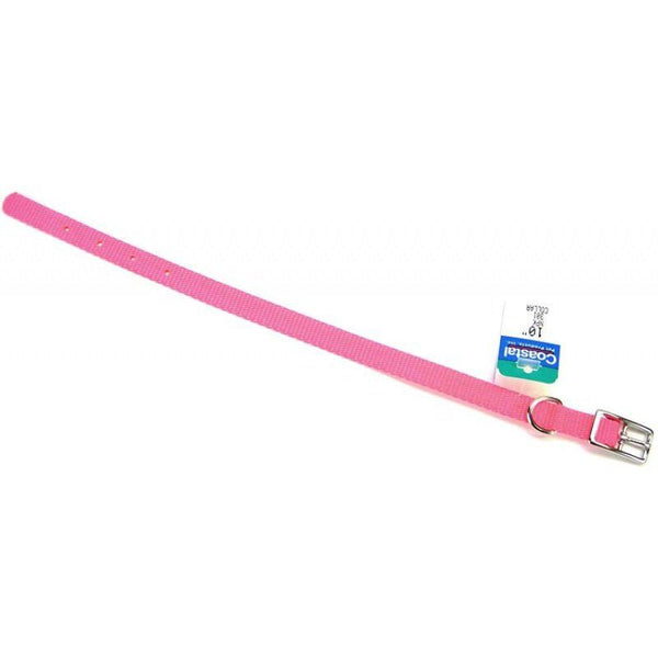 Coastal Pet Single Nylon Collar - Neon Pink, 10" Long x 3/8" Wide-Dog-Coastal Pet Products-PetPhenom