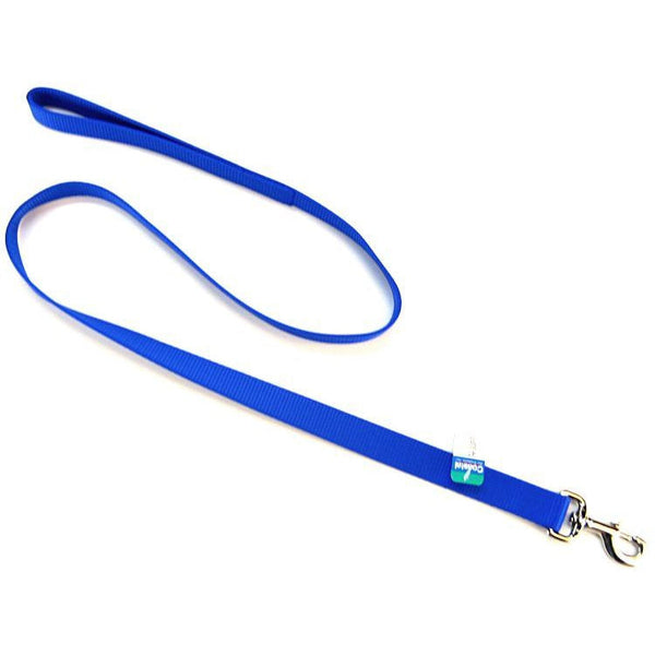 Coastal Pet Single Nylon Lead - Blue, 4' Long x 1" Wide-Dog-Coastal Pet Products-PetPhenom