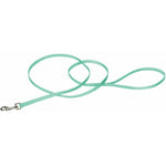 Coastal Pet Single-ply Nylon Dog Leash Teal, 4'L x 3/8"W-Dog-Coastal Pet Products-PetPhenom