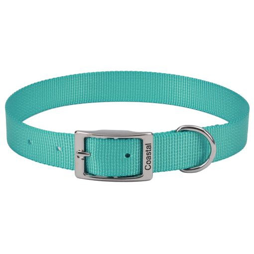 Coastal Pet Single-ply Teal Nylon Dog Collar, 10"L x 3/8"W-Dog-Coastal Pet Products-PetPhenom