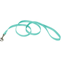 Coastal Pet Single-ply Teal Nylon Dog Lead, 4'L x 5/8"W-Dog-Coastal Pet Products-PetPhenom