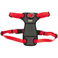 Coastal Pet Walk Right Padded Dog Harness Red, Small-Dog-Coastal Pet Products-PetPhenom