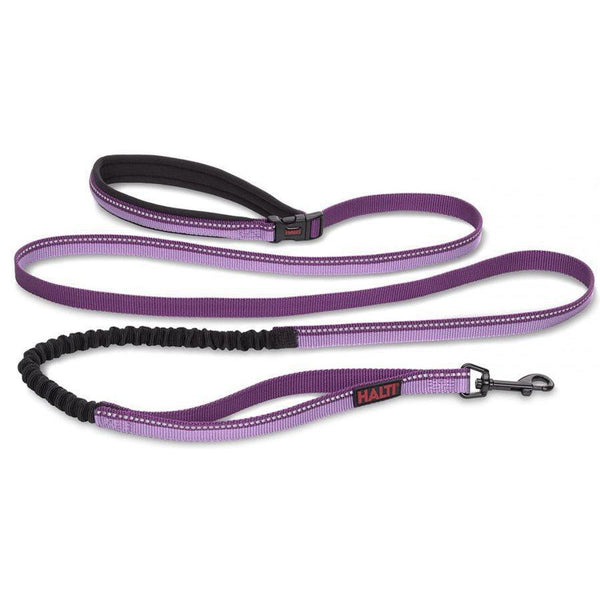 Company of Animals Halti All In One Lead for Dogs Purple, Small-Dog-Company of Animals-PetPhenom