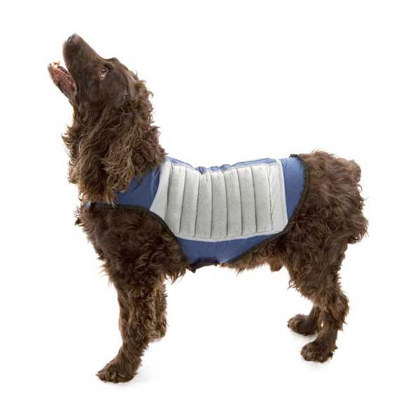 Cool K9 Dog Cooling Jacket Small Blue/Gray-Dog-Cool K9-PetPhenom