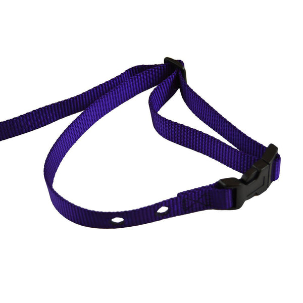Custom Collars Adjustable Quick Release Nylon Replacement Collar Strap Purple 24" x 0.75" x 0.1"-Dog-Custom Collars-PetPhenom