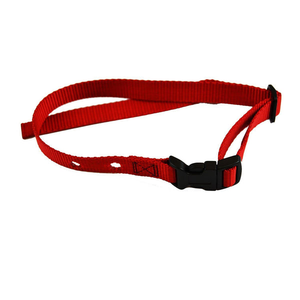 Custom Collars Adjustable Quick Release Nylon Replacement Collar Strap Red 24" x 0.75" x 0.1"-Dog-Custom Collars-PetPhenom
