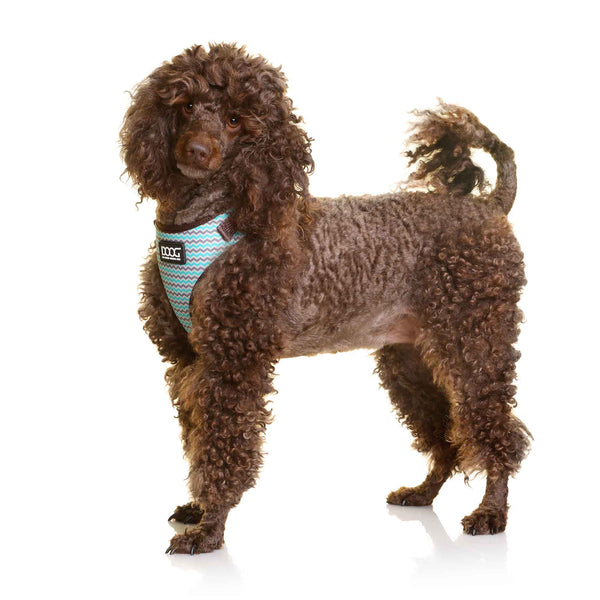 DOOG Neoflex Dog Harness Benji Large Blue/Grey