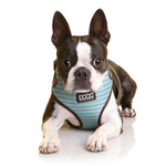 DOOG Neoflex Dog Harness Benji Small Blue/Grey-Dog-DOOG-PetPhenom