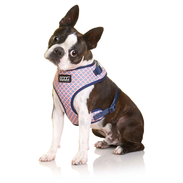 DOOG Neoflex Dog Harness Gromit Extra Large Blue/Pink-Dog-DOOG-PetPhenom