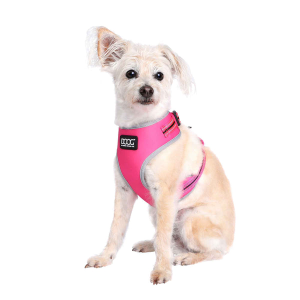 DOOG Neoflex Dog Harness Lady Neon Large Neon Pink