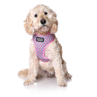 DOOG Neoflex Dog Harness Luna Extra Large Pink/Blue-Dog-DOOG-PetPhenom