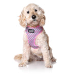DOOG Neoflex Dog Harness Luna Medium Pink/Blue-Dog-DOOG-PetPhenom