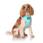 DOOG Neoflex Dog Harness Rin Tin Tin Neon Small Teal/Pink-Dog-DOOG-PetPhenom