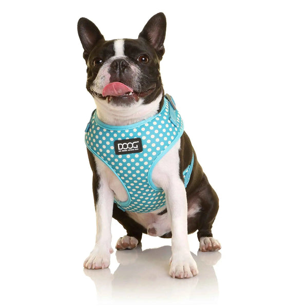 DOOG Neoflex Dog Harness Snoopy Extra Large Light Blue/White Polka Dot-Dog-DOOG-PetPhenom