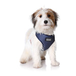 DOOG Neoflex Dog Harness Stella Extra Large Blue/White Polka Dot-Dog-DOOG-PetPhenom