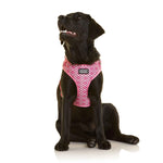 DOOG Neoflex Dog Harness Toto Large Pink-Dog-DOOG-PetPhenom