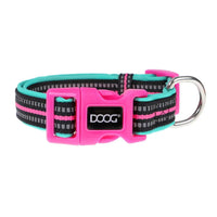 DOOG Neoprene Dog Collar Rin Tin Tin Neon Extra Small Pink/Black/Teal-Dog-DOOG-PetPhenom