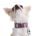 DOOG Neoprene Dog Collar Toto Extra Small Pink-Dog-DOOG-PetPhenom