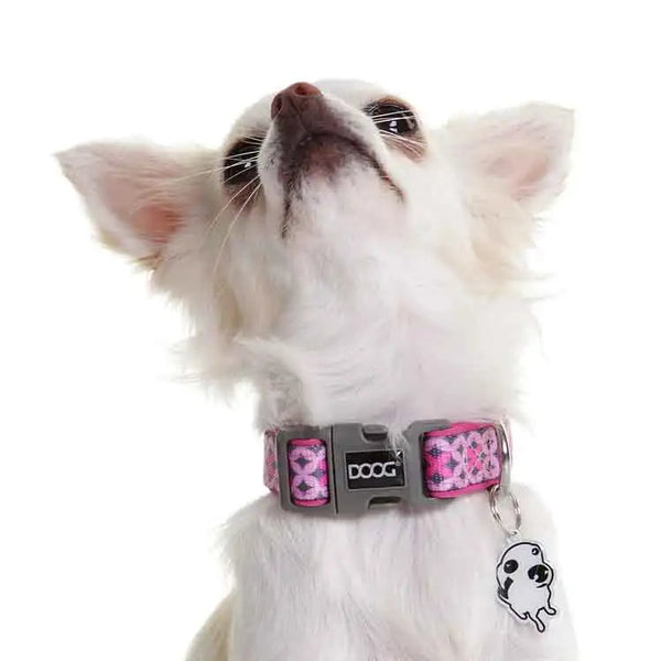 DOOG Neoprene Dog Collar Toto Medium Pink-Dog-DOOG-PetPhenom