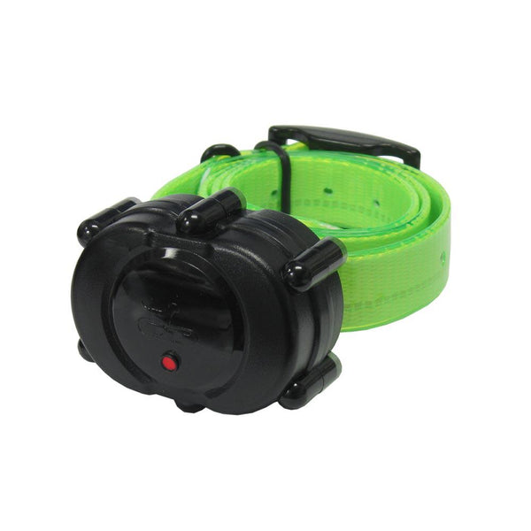 D.T. Systems Micro-iDT Remote Dog Trainer Add-On Collar Black Green-Dog-D.T. Systems-PetPhenom