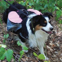 Doggles® Backpack Extreme Gray/Pink -Medium-Dog-Doggles®-PetPhenom