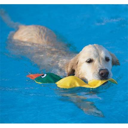 Doggles® Get Wet Duck - Yellow-Dog-Doggles®-PetPhenom