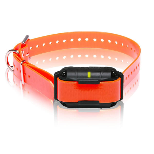 Dogtra Add A Collar for Expandable 2300NCP-Dog-Dogtra-PetPhenom
