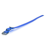 Dogtra Extra Dog Collar Strap Blue 1" x 24"-Dog-Dogtra-PetPhenom