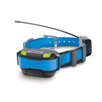 Dogtra Pathfinder Mini Extra Collar Blue-Dog-Dogtra-PetPhenom