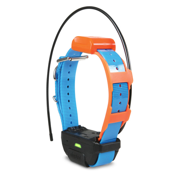 Dogtra Pathfinder2 Mini Additional Receiver Collar Tracking Only Blue-Dog-Dogtra-PetPhenom
