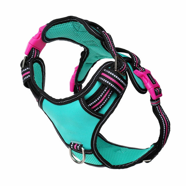 Doog Neotech Dog Harness Rin Tin Tin Large Blue/Pink/Black