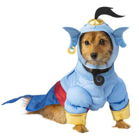 Dp - Genie Pet Costume-Costumes-Rubies-Small-PetPhenom