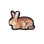 Ethical Spot Nature's Friends Rabbit Dog Toy 8in-Dog-Ethical Pet Products-PetPhenom