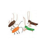 Ethical Whiskins Felt insect Assorted 4in-Cat-Ethical Pet Products-PetPhenom