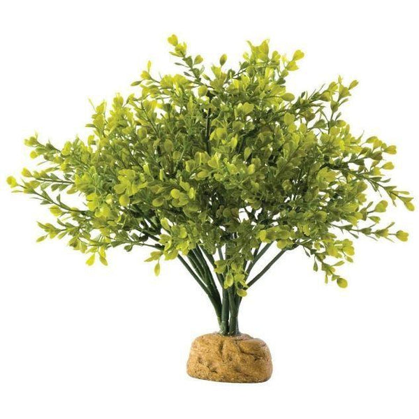 Exo Terra Boxwood Bush Terrarium Plant, 1 count-Small Pet-Exo Terra-PetPhenom